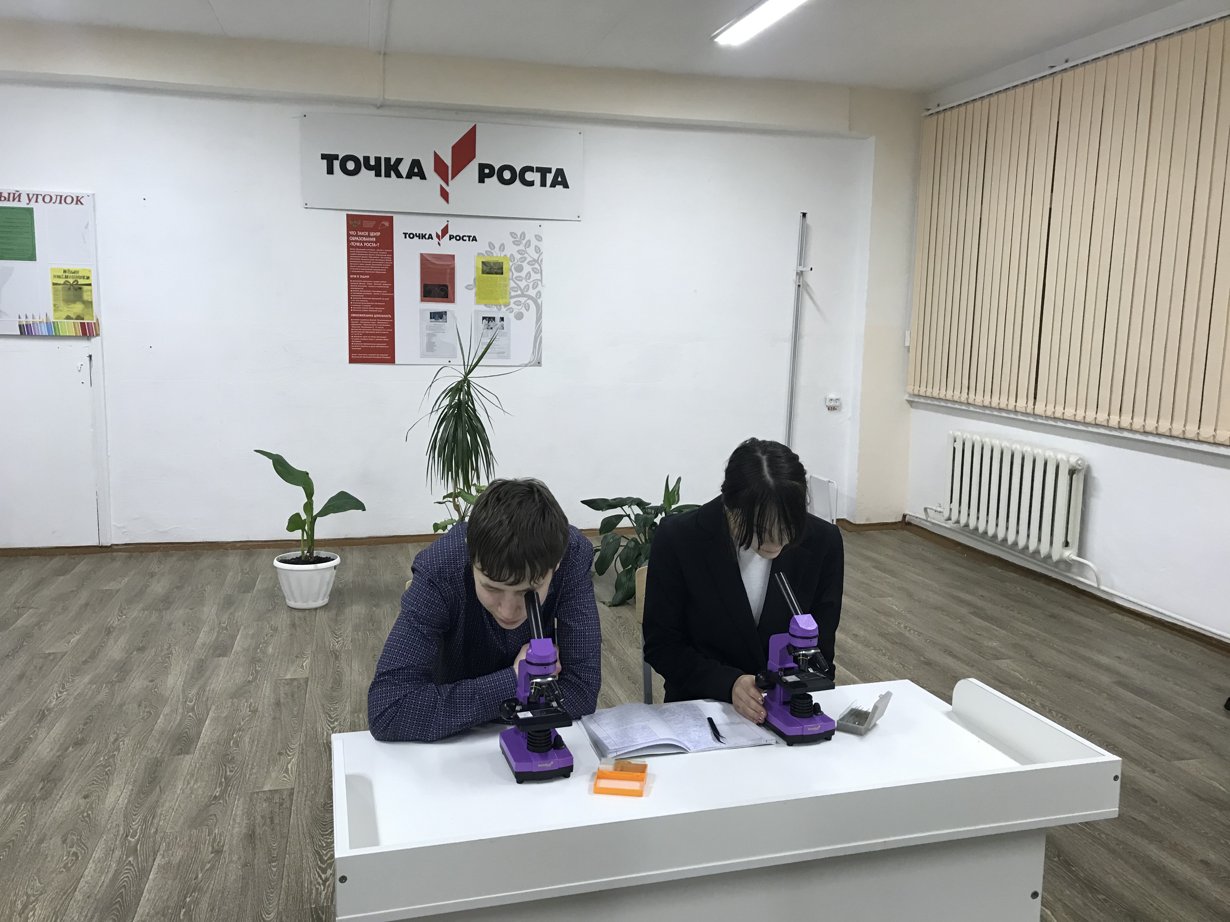 Развиваем аналитическое мышление
